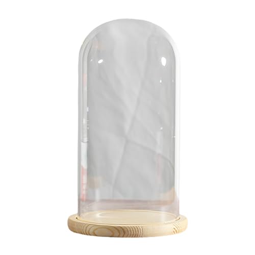 YDHSIKK Grande Cloche en Verre, Cloche en Verre avec Socle en Bois Massif, diamètre 18 cm, Hauteur...