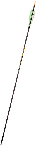 Flèches en carbone Gold Tip Kinetic Hunter avec ailettes de 10,2 cm de haute régularité