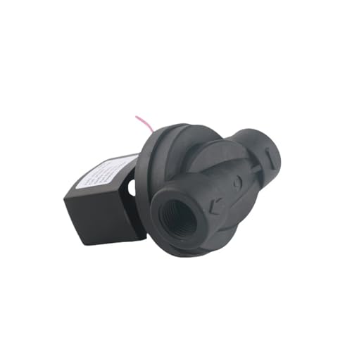 Solenoide 2WS1-15P AC220V para solucionar cortes de flujo en tubería DN15 4