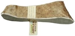 Prairie Dog | Moose Antler Chew | Naturally Shed - Hand Harvested in North America | Jumbo | Split