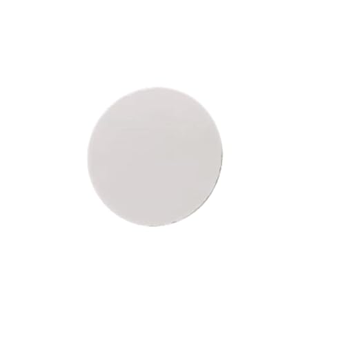 1PCS Alumina Ceramic Membrane Disk - 0.05/0.1/2μm Pore Size, Multi-Size Filter for Laboratory and Industrial Use(D22mm-T2mm pore size: 0.1μm)