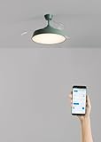 CREATE WIND CLEAR CONTOUR/Deckenventilator mit grünem Licht in Salbeigrün mit WLAN und Fernbedienung, 40 W, Timer, Ø 107 cm, einziehbare Flügel, 3 Lichttemperaturen, Sommer-Winter-Funktion