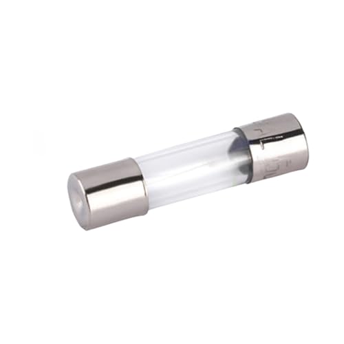 Fusible 5.0 mm 20A 4A 100 pièces pour protection de circuit électrique