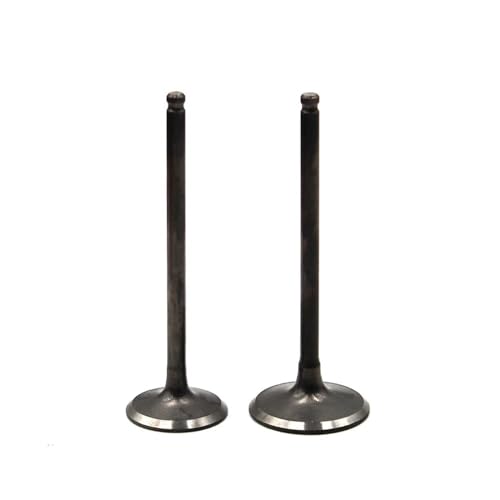 Soupape admission et échappement pour KL250 1997-2010 | Pièce moteur IN 12004-1131