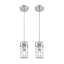 2 Pack-Brushed Nickel-Hammered Glass