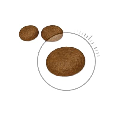 Image of Royal Canin - Royal Canin Hair & Skin 33 - 203 - 400 g.