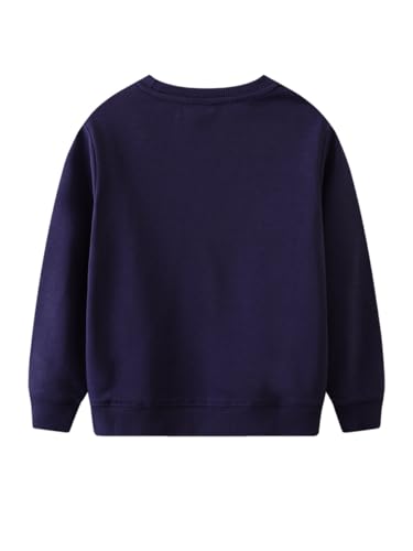Boys Sweatshirts Casual Sweatshirts Cotton Sweatshirts Long Sleeve T-shirts Crew Neck Cartoon Tops for Boys-1272