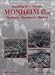 Produktbild Rundflug über das alte Monheim: Historische Luftbilder