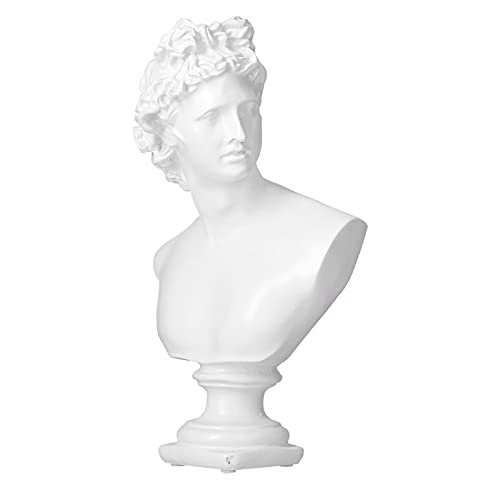 Decorazione del desktop in resina: le statue della testa del David greco sono realizzate in resina di alta qualità, la statuina del personaggio è vivida e bella con pregevole fattura. Come una statua classica retrò del David, può aggiungere un tocco di arte estetica rinascimentale alla decorazione della nostra casa moderna