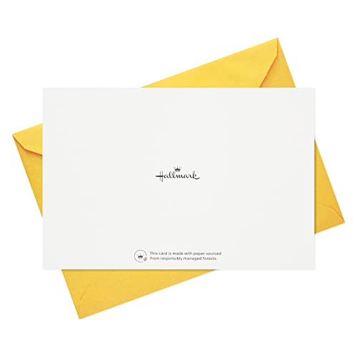 Hallmark Kids Encouragement Cards Assortment (Pack Of 36 Cards With Envelopes—Dinosaurs, Rainbows, Unicorns) #TOP7