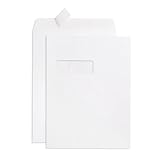 Blue Summit 100 9x12 Envelopes...