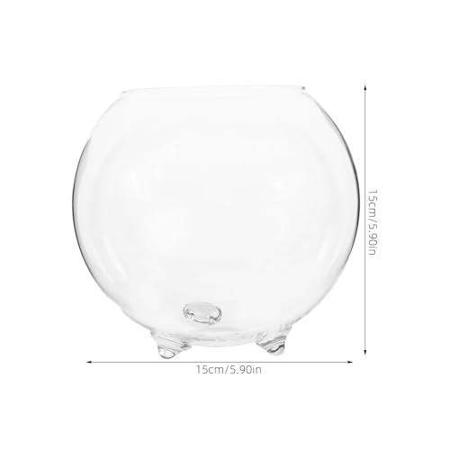 Jarrón de vidrio de diseño elegante y funcional para flores 8