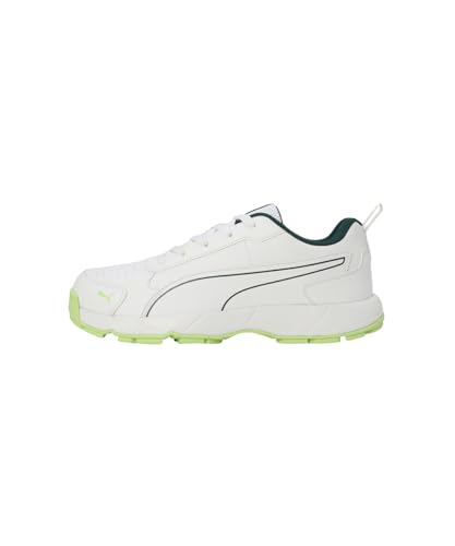 Puma Men Cricket Classicat Cricket Shoe