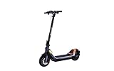 Batteria: 561 Wh (10,2 Ah) Segway-Ninebot KickScooter P65I by Segway