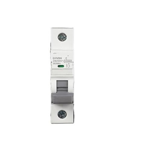 Disjoncteur courbe C GYM9H 10KA 1P 60A tableau electrique monophase 230V