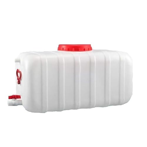 LICOME Potable Water Tank,Large Capacity Water Storage Containers with Spigot,for RV Camping Outdoor Hiking Plastic Bucket(110L)
