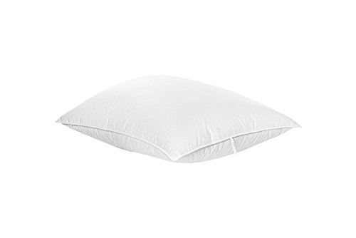 Highland Feather D7-13-Q18 European White Down Pillow, Queen