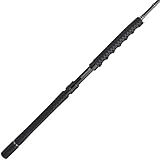 Penn Carnage III Jig Spinning Fishing Ro...