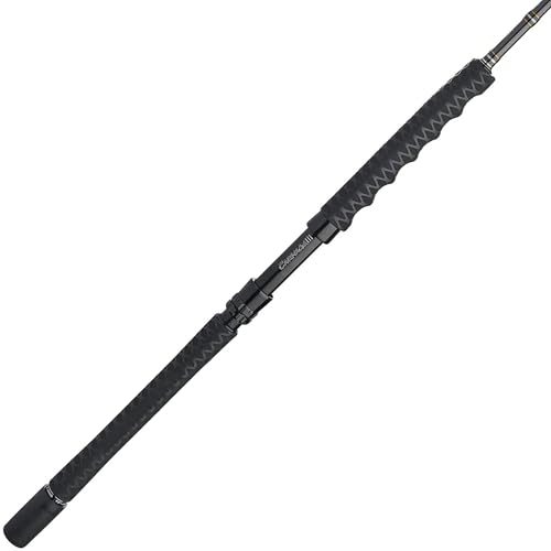 PENN Carnage III Jig Spinning Rod