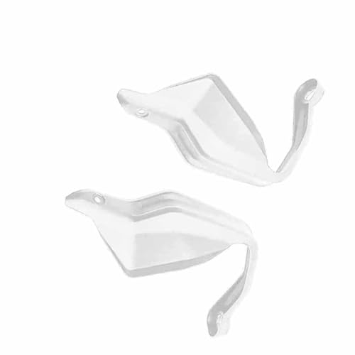 Protection des mains moto BMW F900R pour le road-trip et duo