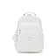 Gradient White