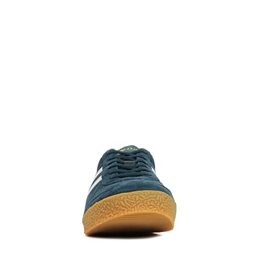 Image of Gola Harrier
