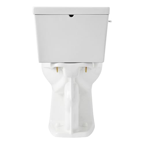 Signature Hardware 483545 Rilla 1.28 GPF Two Piece Elongated Toilet - Standard Seat Included - White