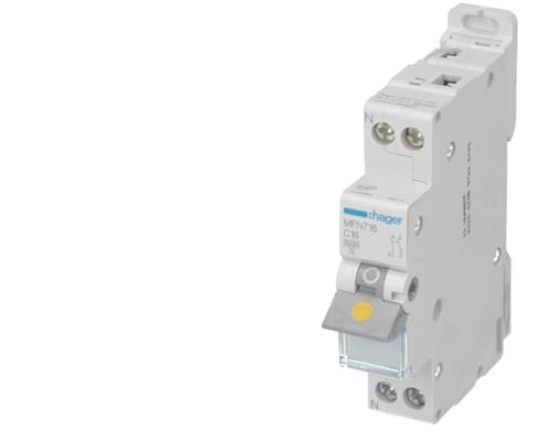 Disjoncteur 20 A P+N HAGER VIS MFN720