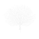 Corallo per acquario-- ❤️❤️ 【steli di corallo finti】 rami di manzanita in plastica a forma di corno rami di albero essiccati ramoscelli di piante decorative riempitivo per vasi spray floreale per decorazioni di acquari per pesci d'acquario di nozze. realistico, dignitoso ed elegante, non facile da sbiadire.