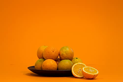 Prato Refeição, Plastico, 25.7cm, Coza