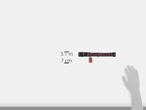 Petmate Wwe 1" X 16-26" The Rock Adjustable Dog Collar #TOP2