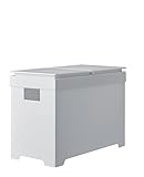 天馬(Tenma) ㈱ シンク下 ゴミ箱 シンプルダストボックス ハーフオープン 20L ホワイト