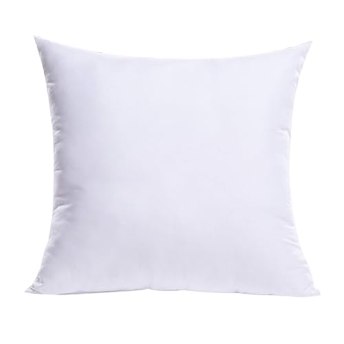 MIULEE 27x27 Euro Throw Pillow Insert for Couch Sofa Bed