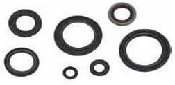#US Part Replacement For Crankcase Oil Seal Kit for 1977 For Ski-Doo Olympique 300S Snowmobile