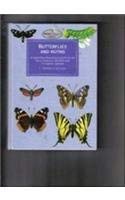 Hardcover Butterflies and Moths Book
