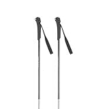 Rossignol Ft-500 - Bastas de esquí de fondo para hombre, talla 135, color gris