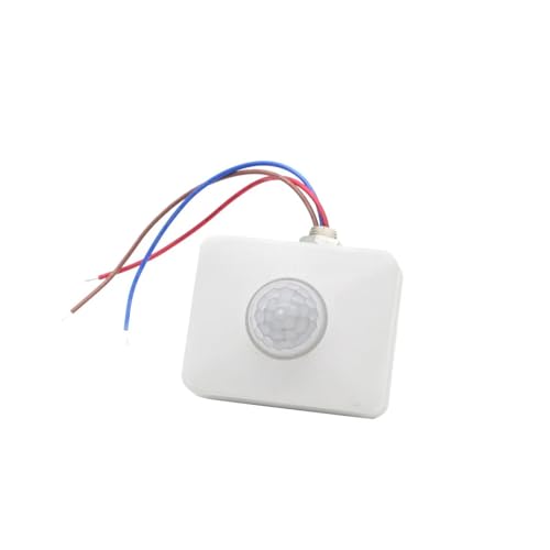 Interrupteur à capteur PIR 12V pour l'éclairage automatique de votre jardin blanc