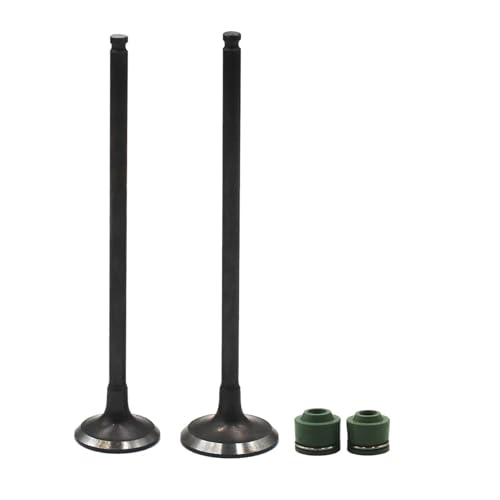 Sellos de aceite de vástago de admisión CBR17 MC17 y CBR19 MC19 para motor de moto