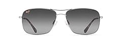 Silver/Neutral Grey Polarized