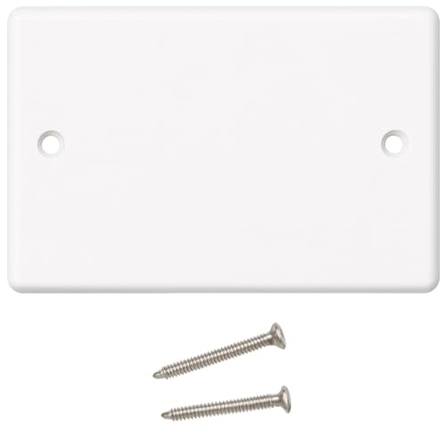 DRUT Plaque d'obturation Double, 2 Gangs, Plaque Frontale pour Prises électriques, boîte arrière Blanche, avec vis, 1 pièce