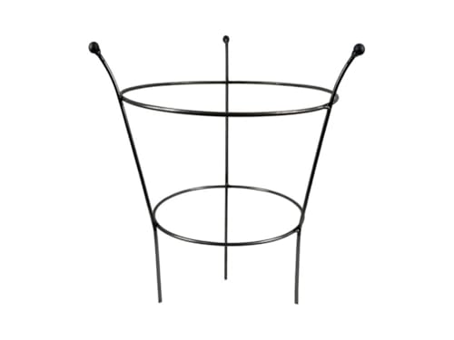 Garden Pride Peony Cage Plant Support Raw Steel Designed to Rust 47cm or 64 cm Tall Made in Britain (18 Tall (47cm))