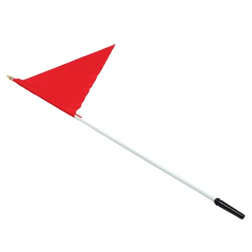 Mástil para bandera triangular de moto que soluciona la falta de visibilidad 2