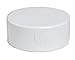Plastic Trends 4 in. Hub x 4 in. Dia. Hub PVC Drain Cap