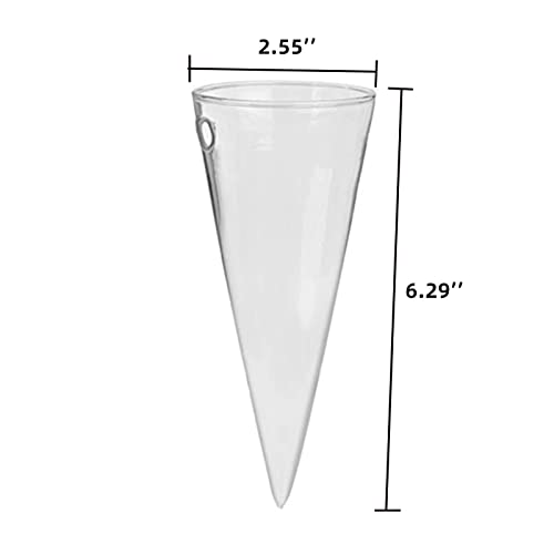 Kingbuy Levitating Glass Planter for Succulents & Hydroponic Plants - 2 Pack Cone-Shaped Wall Vases Floating Terrarium Planters with Wall Mount for Indoor Home Office Kitchen Decor (Medium)