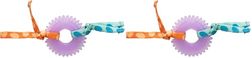 Catstages Kitty Chew Wheel