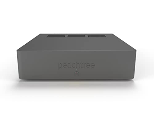 Peachtree Audio GaN 1 Amplifier