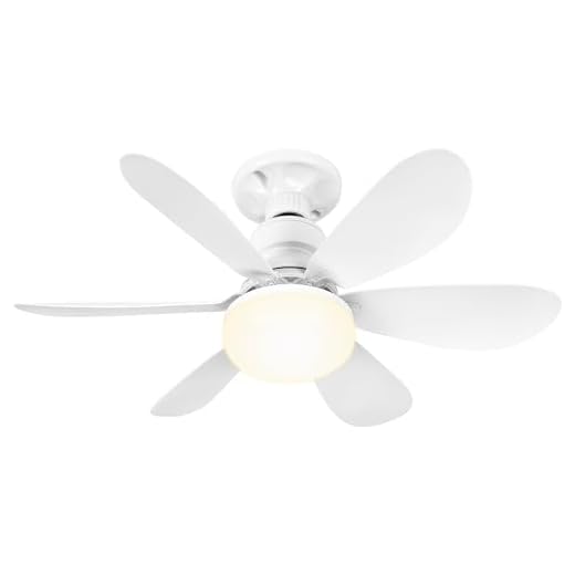 BuzzoXerex Ventilador Techo con Luz y Mando a Distancia, 52CM Lampara Ventilador Techo Pequeño con Ventiladores Silencioso, E27, Regulable en Colores y Velocidades Temporizador 6 Aspas