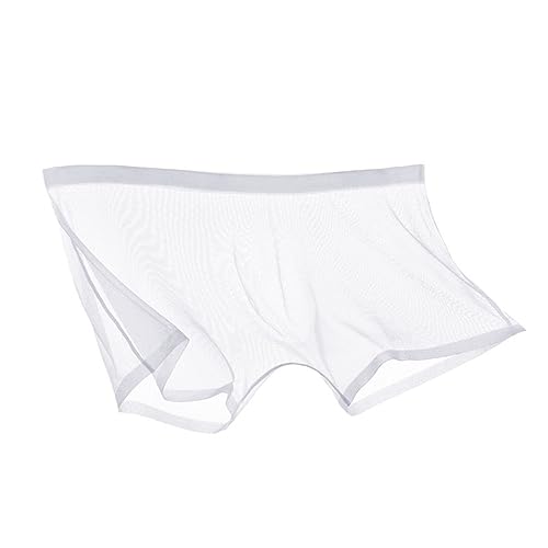 Transparent Shorts Briefs Men's See-through Mesh Panties Ultra-thin Breathable Comfortable Fit Underpants Lightweight