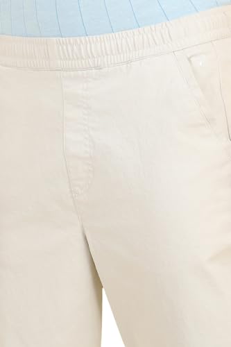 Image of Allen Solly Men's Cargo Pants | Regular Fit | Pull-Up Elastic Waist | Multi-Pocket Design | Travel & Outdoor Wear