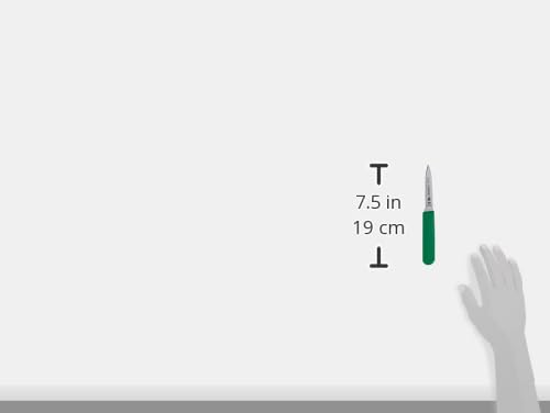 Tramontina Professional 3 Inches Paring Knife with Stainless Steel Blade and Green Polypropylene Handle with Antimicrobial Protection